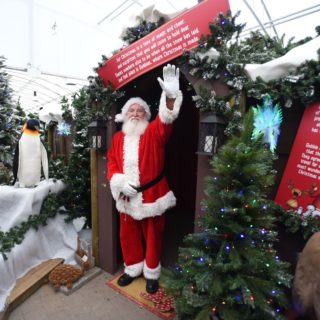 Dobbies