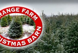 Grange Farm