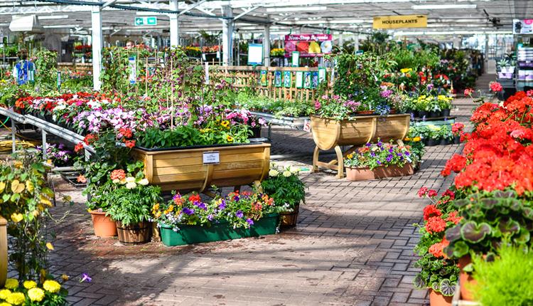 top-10-garden-centres-in-nottingham-snizl-blog