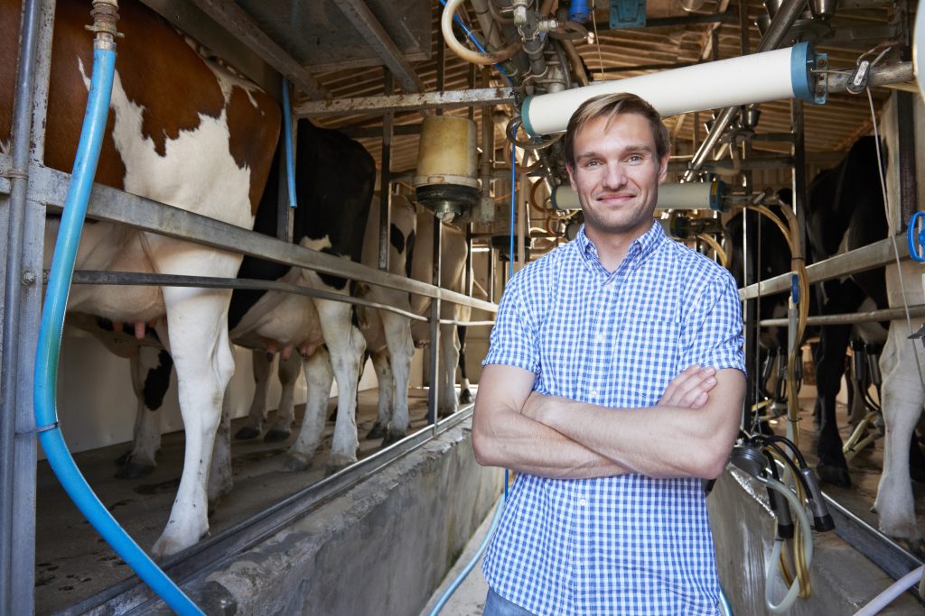 UK farmer producing quality dairy and meats products