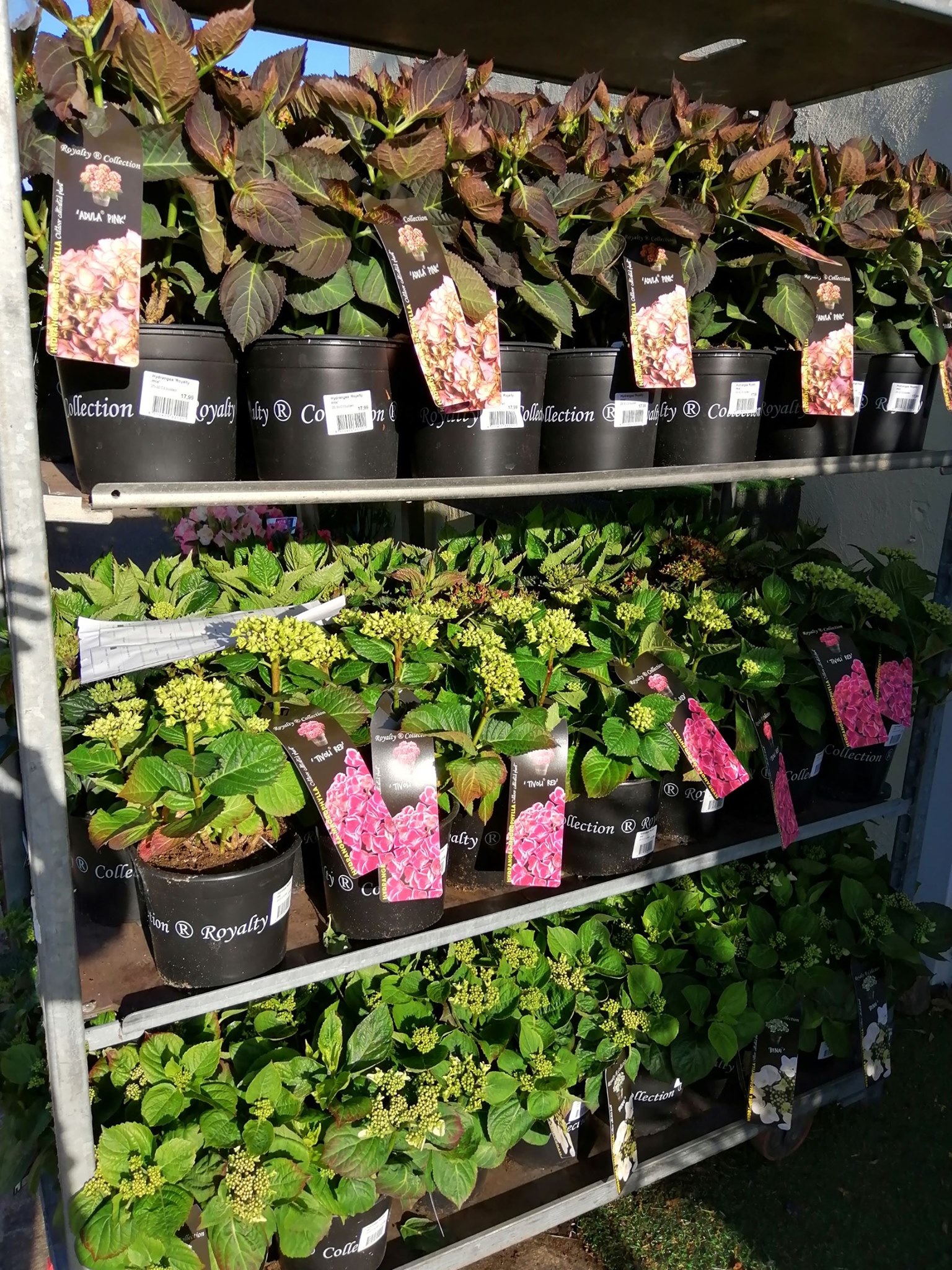 Top Garden Centres in Nottingham Snizl Blog